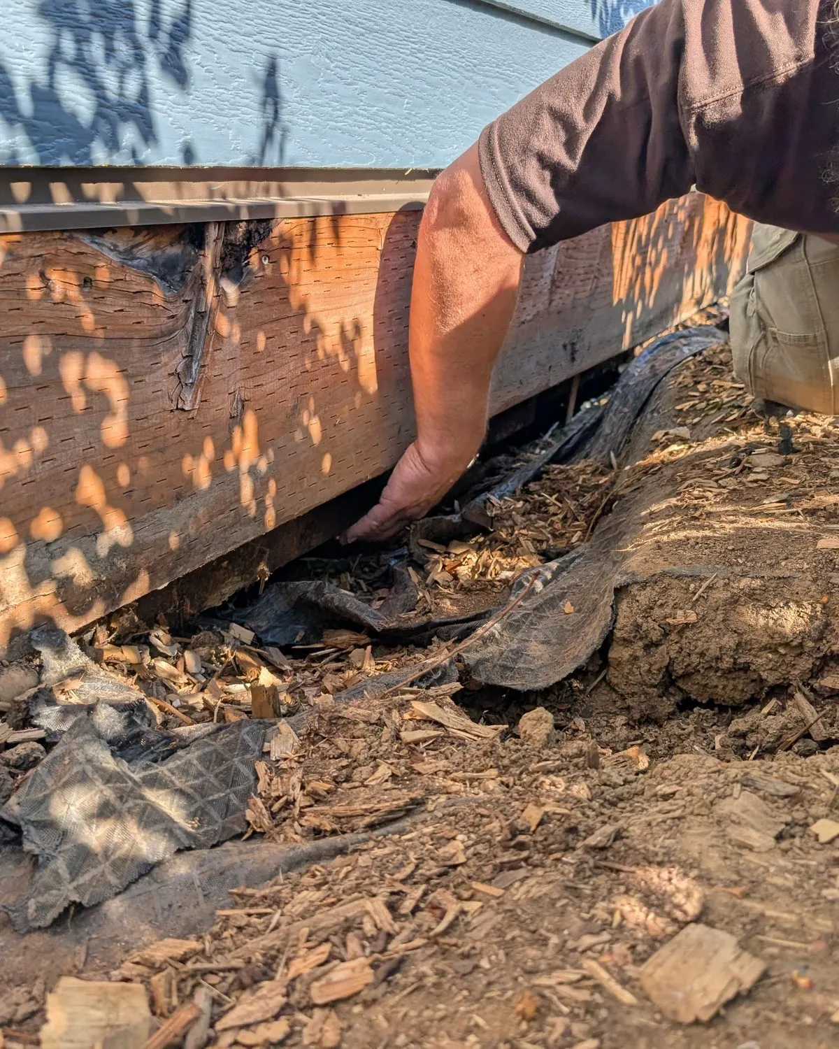 A hand reaching under a rotted sill board along the bottom of a house.